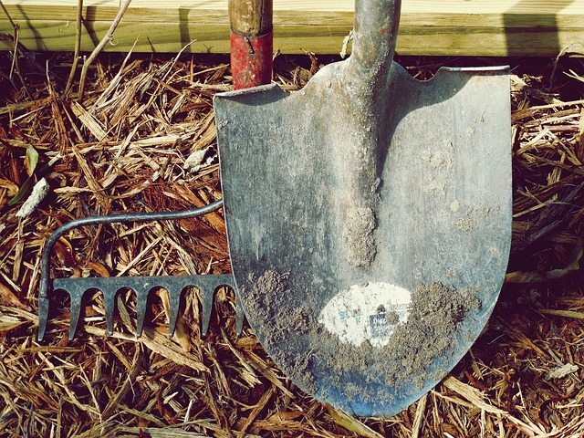 dent-removal-tools-640x480-63335184.jpeg