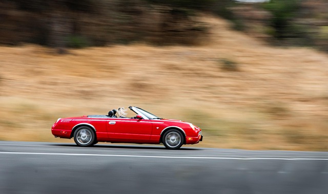 Empathy Drives Collision Repair Satisfaction: Enhancing Customer Loyalty