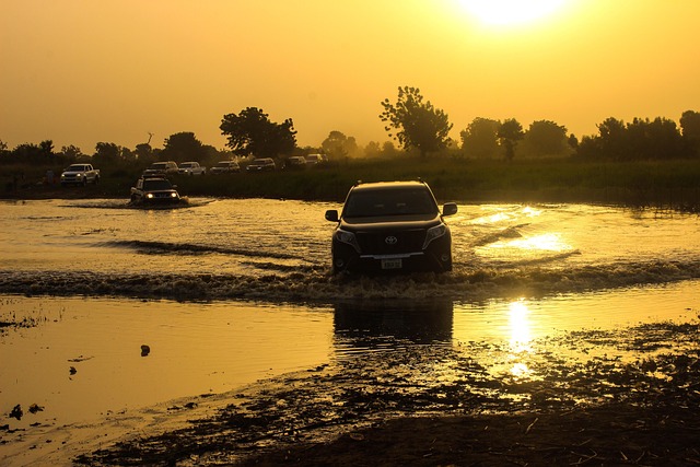 Insurance Adjuster Liaison: Key to Boosting Policyholder Satisfaction and Trust