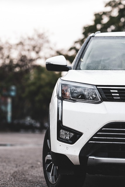 Vehicle Dent Fixing: Preserving Car Value & Restoring Market Appeal