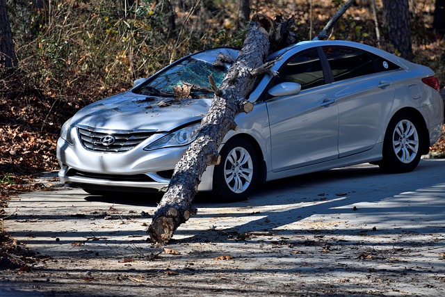 car crash damage