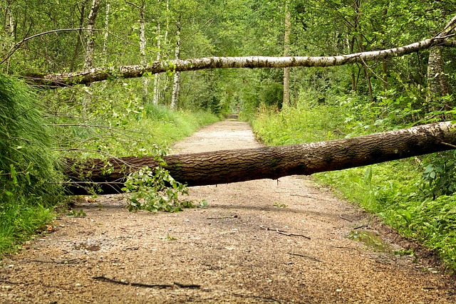 Unleash Efficiency: Uncovering Benefits of Same-Day PDR Services