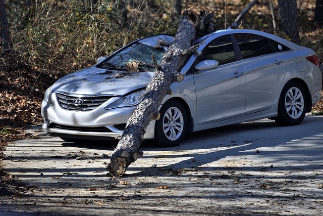 car crash damage