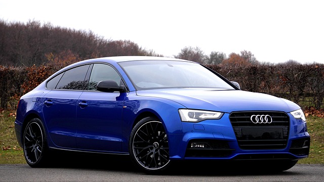 Custom Finishes: Elevate Your Auto Body Paint Service Experience