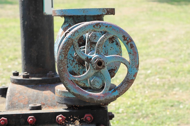 Streamline Your Collision Claim: 10 Speedy Process Tips