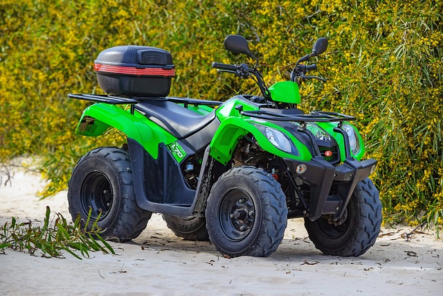 vehicle